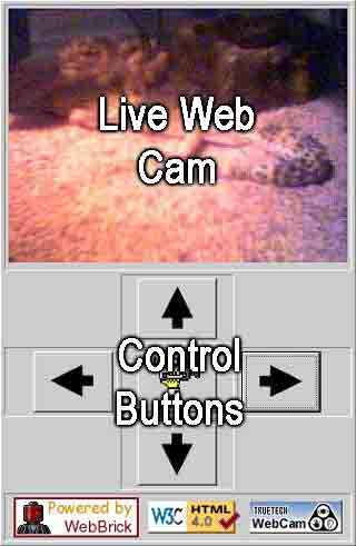 Mozilla Cam Image